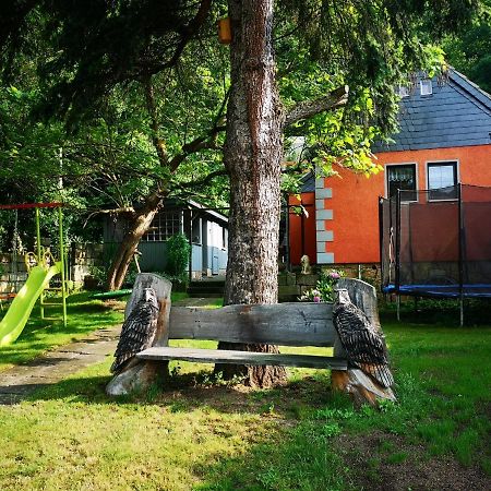 Ferienhaus Franz - An Der Elbe, Mit Grossem Garten Villa Pirna Kültér fotó