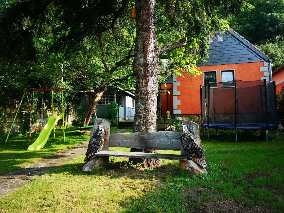 Ferienhaus Franz - An Der Elbe, Mit Grossem Garten Villa Pirna Kültér fotó