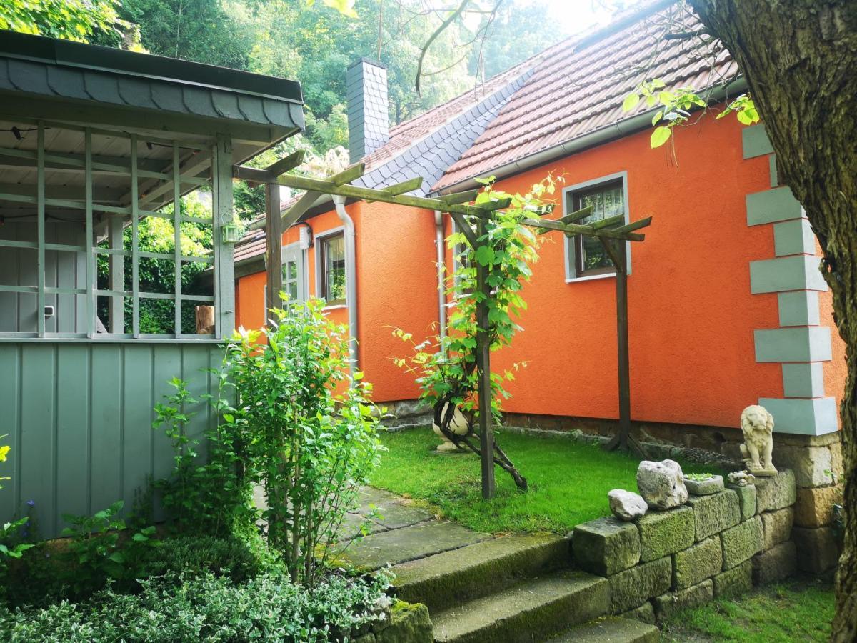 Ferienhaus Franz - An Der Elbe, Mit Grossem Garten Villa Pirna Kültér fotó